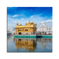 Golden Temple Square Wood Print Wall Art