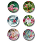 unique Set of 6 Vivian and Flowers Ceramic Wall Plates For Home