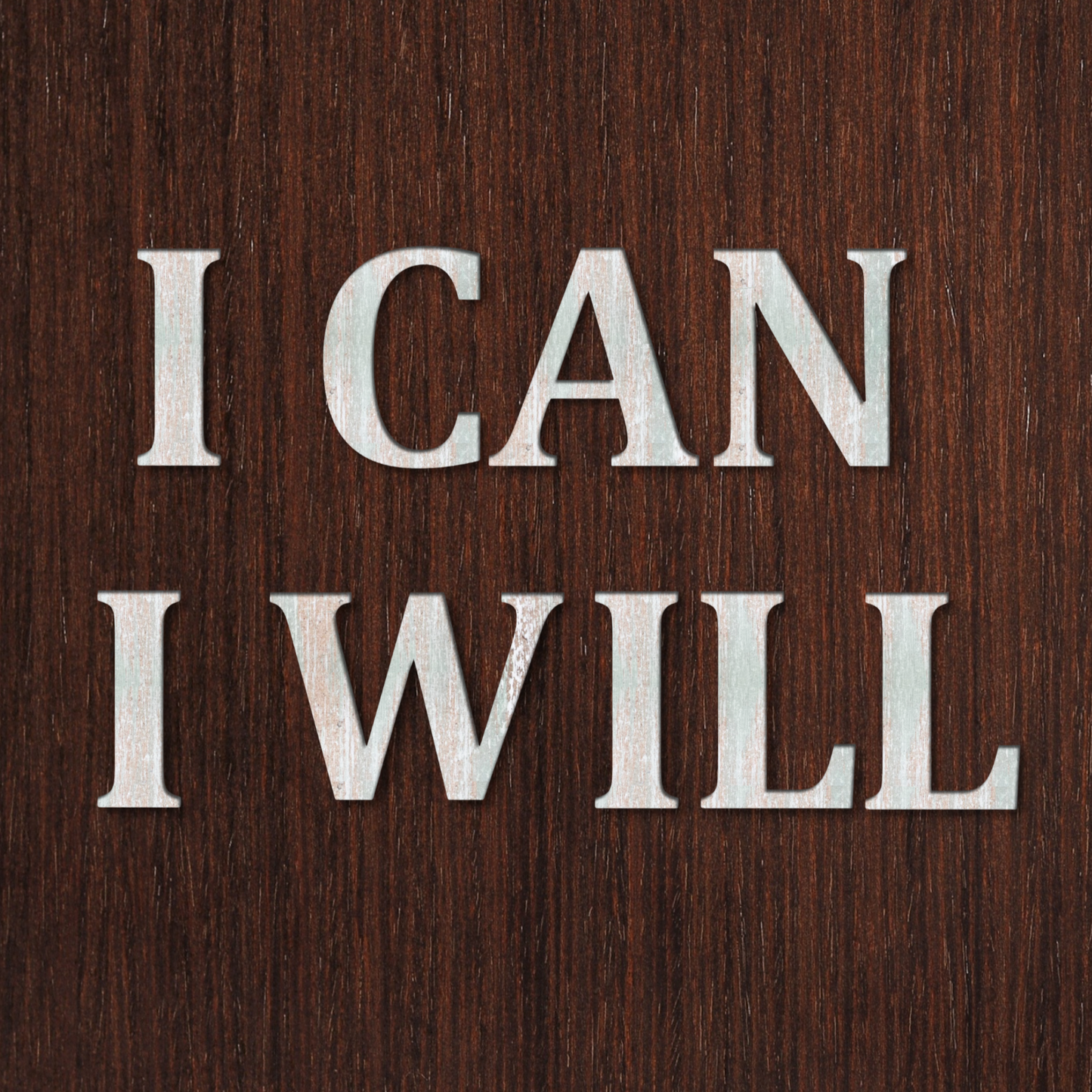 I CAN I WILL Motivational Quote 3D Wooden Art